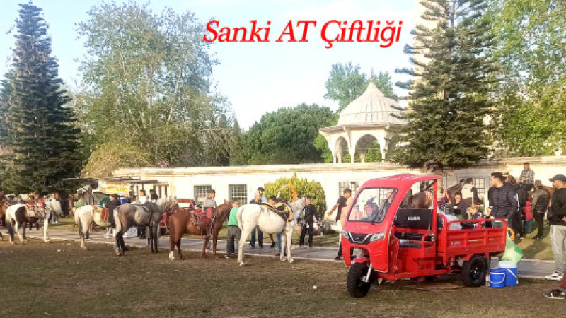 ADANA’YI BÖYLE Mİ TANITACAK SINIZ?