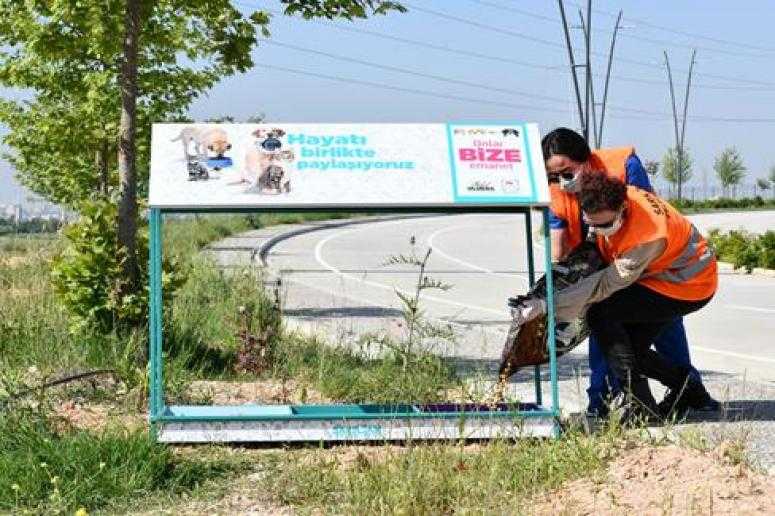SARIÇAM BELEDİYESİ SOKAK HAYVANLARINI UNUTMUYOR