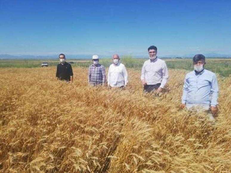 MHP’li Varlı, üreticilerin yanında!
