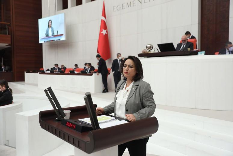 Milletvekili Dr. Müzeyyen Şevkin’den Yerel basına acil destek çağrısı