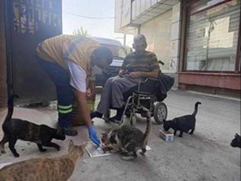 Sokaktaki hayvanlarına yeni suluk!